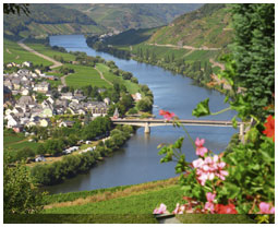 Moselle